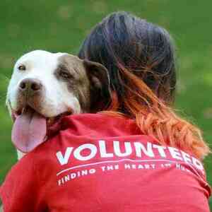Fundraising Page: Team CatDog (#TeamBVSPCA Volunteers Unite!)
